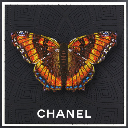 Milbert’s Tortoiseshell Butterfly Framed - Stephen Wilson Studio
