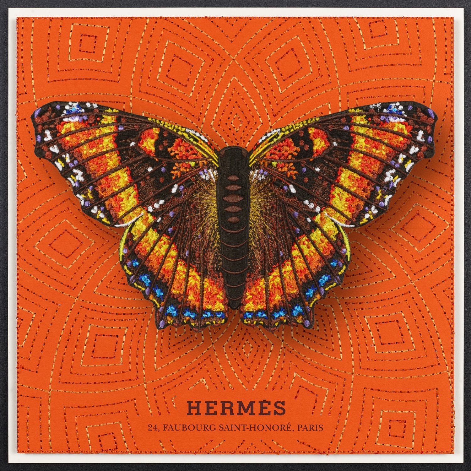 Milbert's Tortoiseshell Butterfly Framed – Stephen Wilson Studio