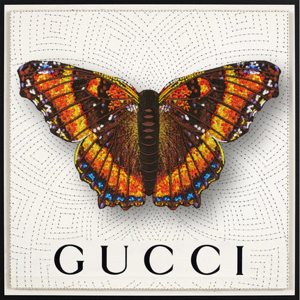 Milbert’s Tortoiseshell Butterfly Framed - Stephen Wilson Studio