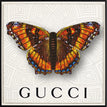 Gucci White