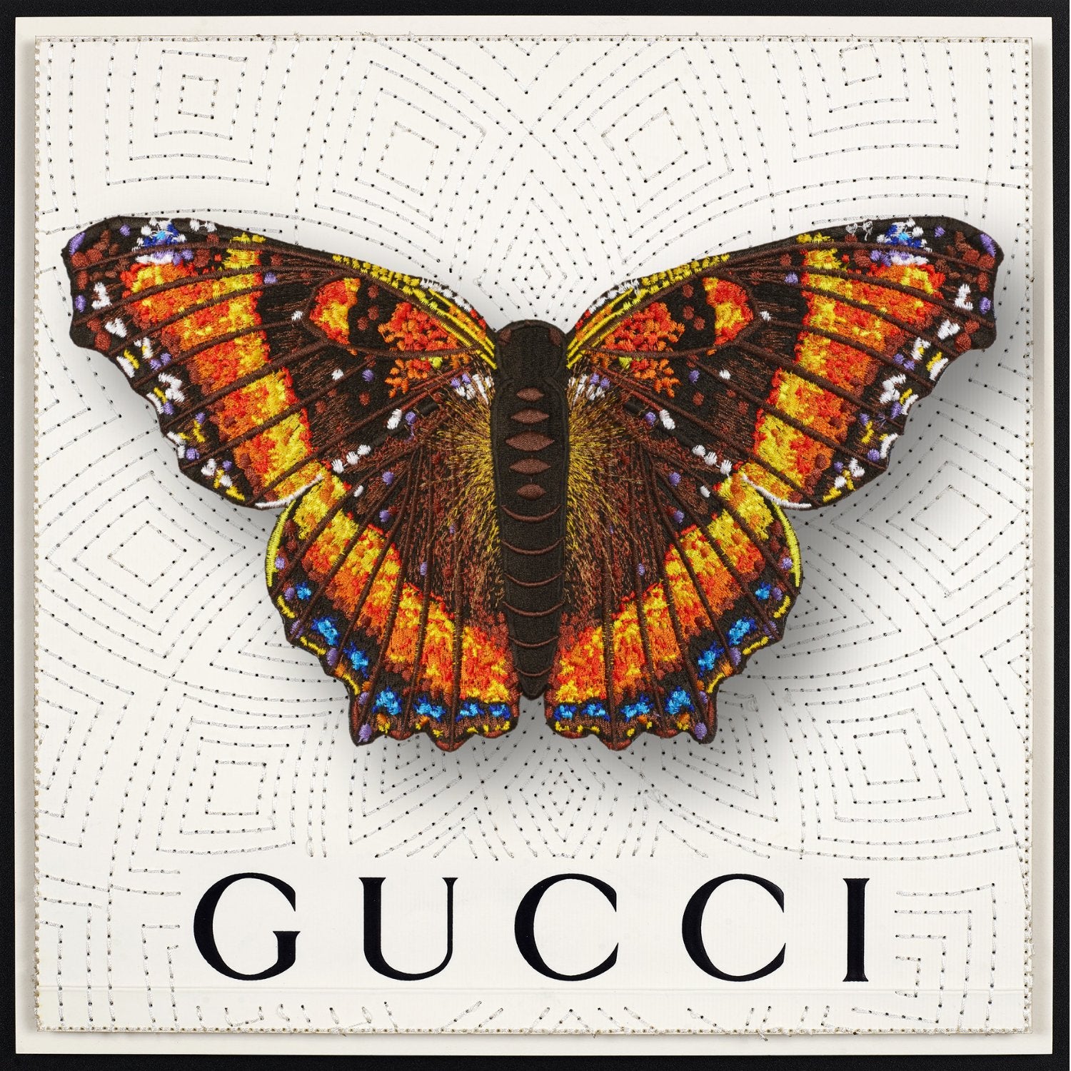 Milbert’s Tortoiseshell Butterfly Framed - Stephen Wilson Studio