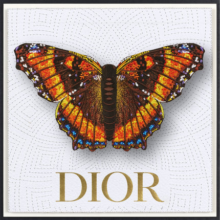 Milbert’s Tortoiseshell Butterfly Framed - Stephen Wilson Studio