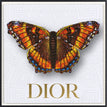 Dior White