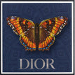 Dior Navy