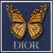 Dior Navy