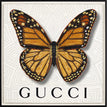 Gucci White