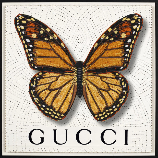 Monarch Butterfly Framed - Stephen Wilson Studio
