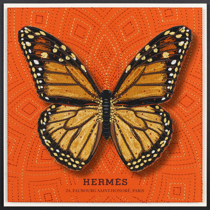 Monarch Butterfly Framed - Stephen Wilson Studio