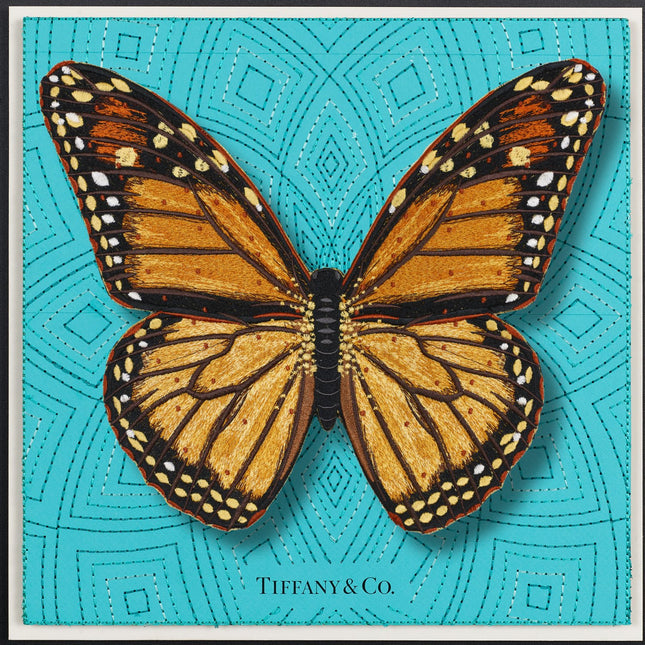 Monarch Butterfly Framed - Stephen Wilson Studio