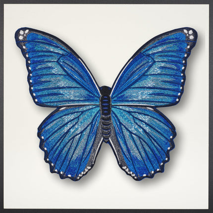 Morpho Butterfly Framed - Stephen Wilson Studio