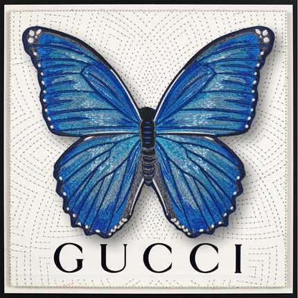 Morpho Butterfly Framed - Stephen Wilson Studio