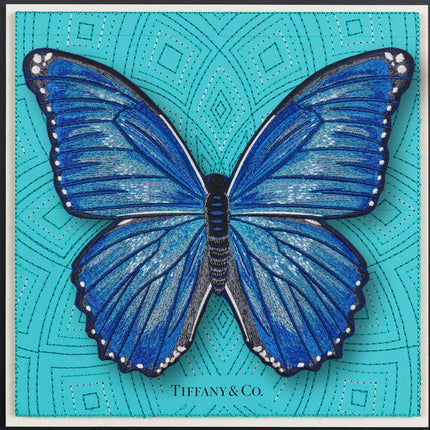 Morpho Butterfly Framed - Stephen Wilson Studio