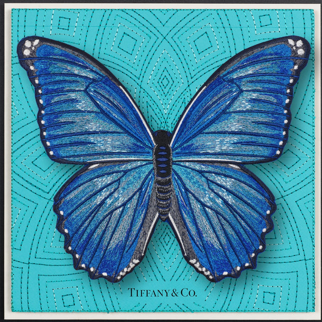 Morpho Butterfly Framed - Stephen Wilson Studio