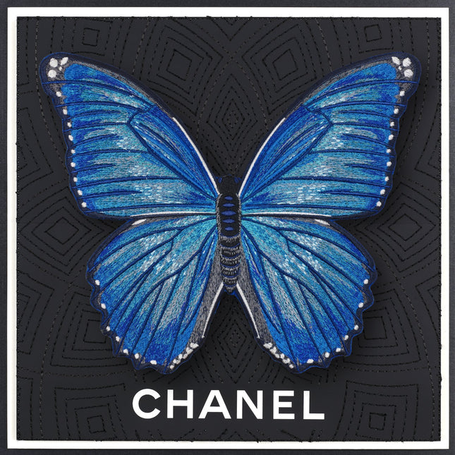 Morpho Butterfly Framed - Stephen Wilson Studio