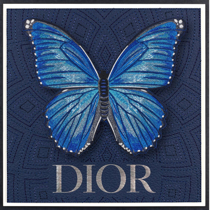 Morpho Butterfly Framed - Stephen Wilson Studio