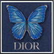Dior Navy