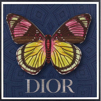 Painted Beauty Butterfly Framed - Stephen Wilson Studio