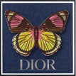 Dior Navy