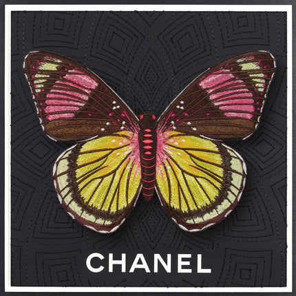 Painted Beauty Butterfly Framed - Stephen Wilson Studio
