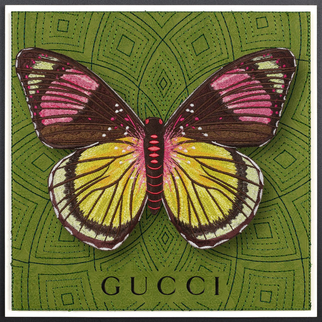 Painted Beauty Butterfly Framed - Stephen Wilson Studio