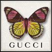 Gucci White