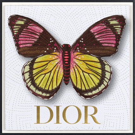 Painted Beauty Butterfly Framed - Stephen Wilson Studio