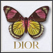 Dior White