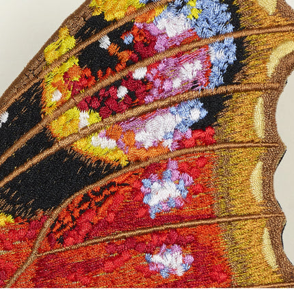 Peacock Butterfly 6" through 12" - Stephen Wilson Studio
