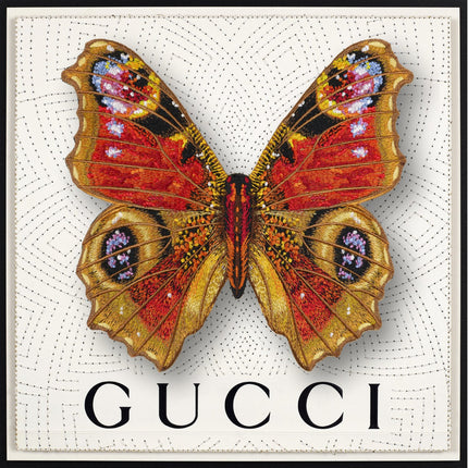 Peacock Butterfly Framed - Stephen Wilson Studio