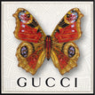 Gucci White
