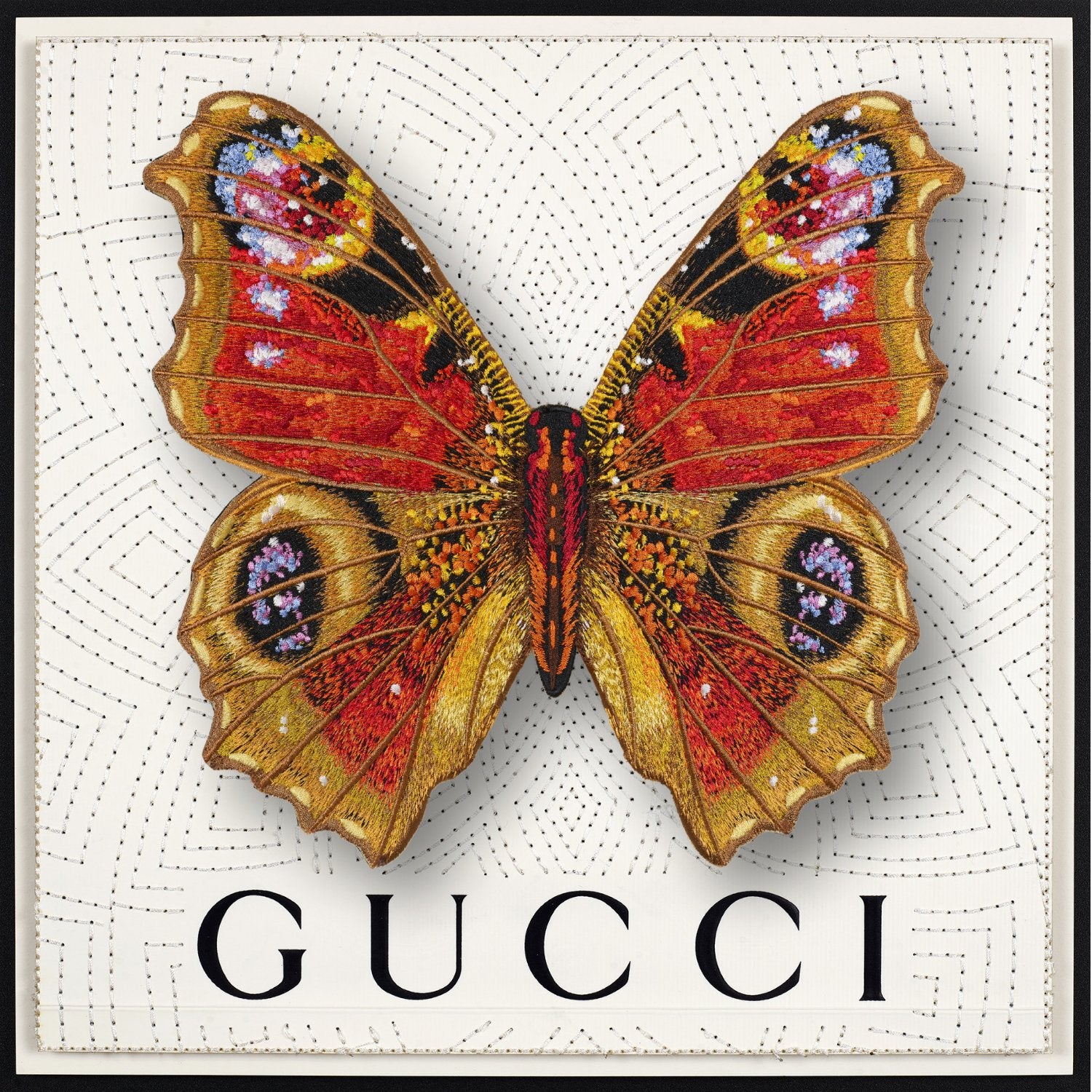 Peacock Butterfly Framed - Stephen Wilson Studio