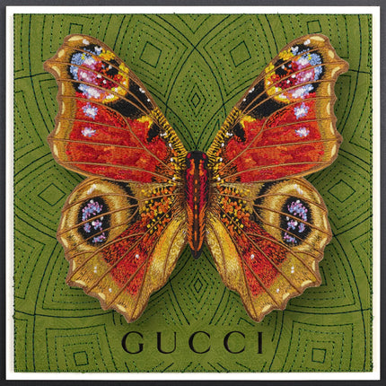Peacock Butterfly Framed - Stephen Wilson Studio