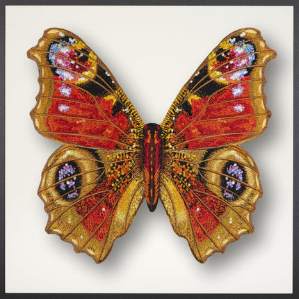 Peacock Butterfly Framed - Stephen Wilson Studio