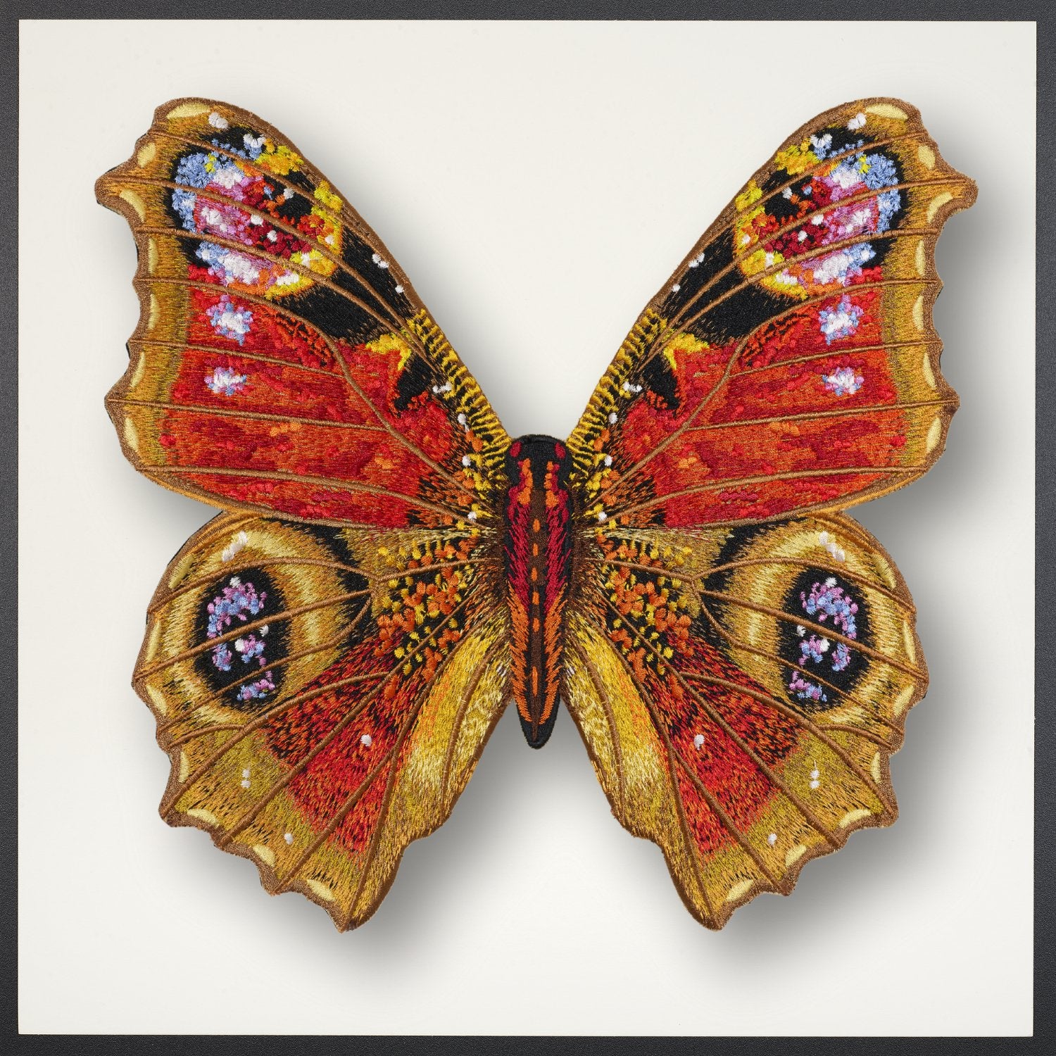 Peacock Butterfly Framed - Stephen Wilson Studio