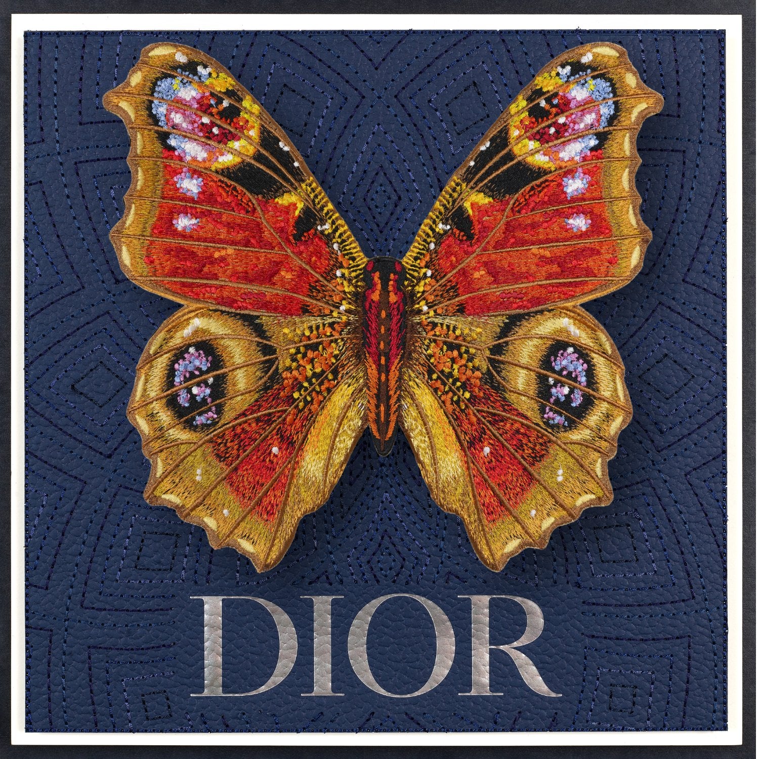 Peacock Butterfly Framed - Stephen Wilson Studio