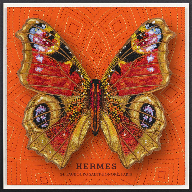 Peacock Butterfly Framed - Stephen Wilson Studio