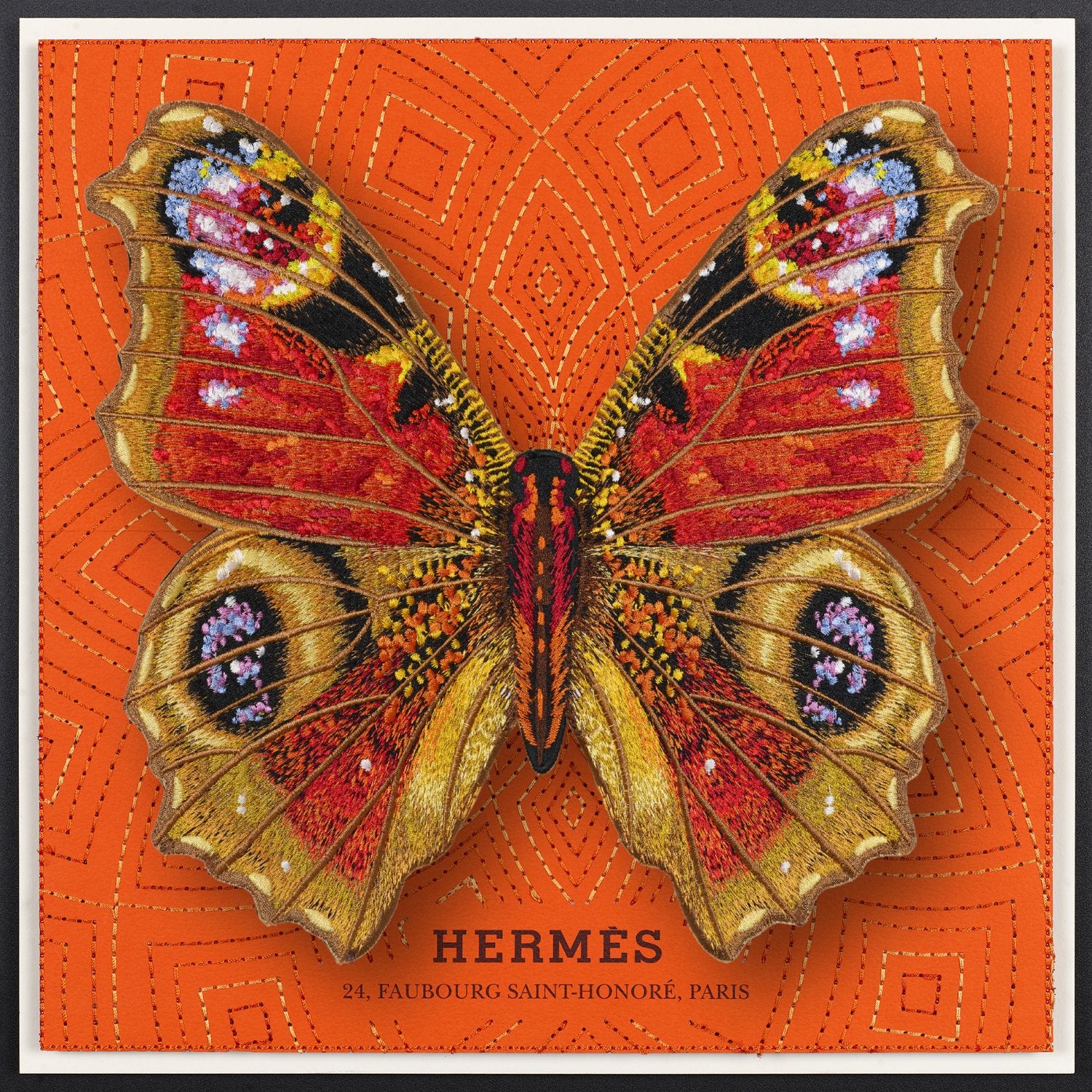 Peacock Butterfly Framed - Stephen Wilson Studio