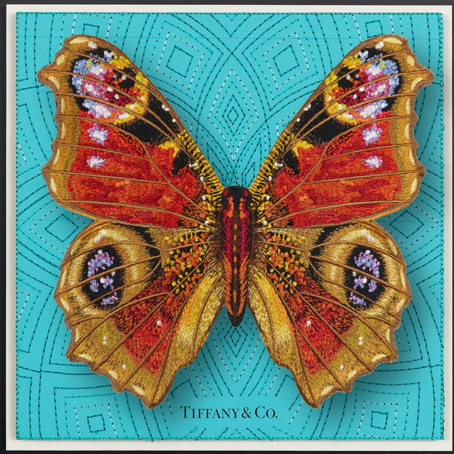 Peacock Butterfly Framed - Stephen Wilson Studio