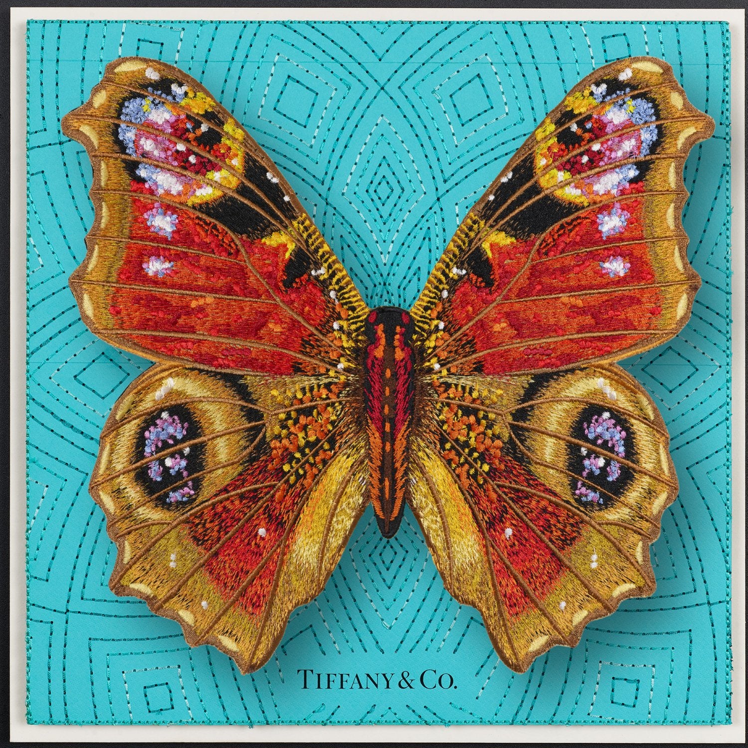 Peacock Butterfly Framed - Stephen Wilson Studio