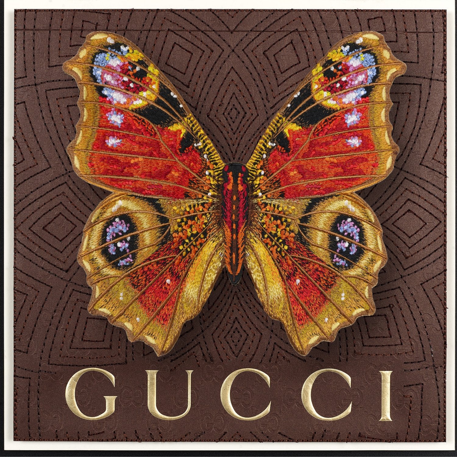 Peacock Butterfly Framed - Stephen Wilson Studio