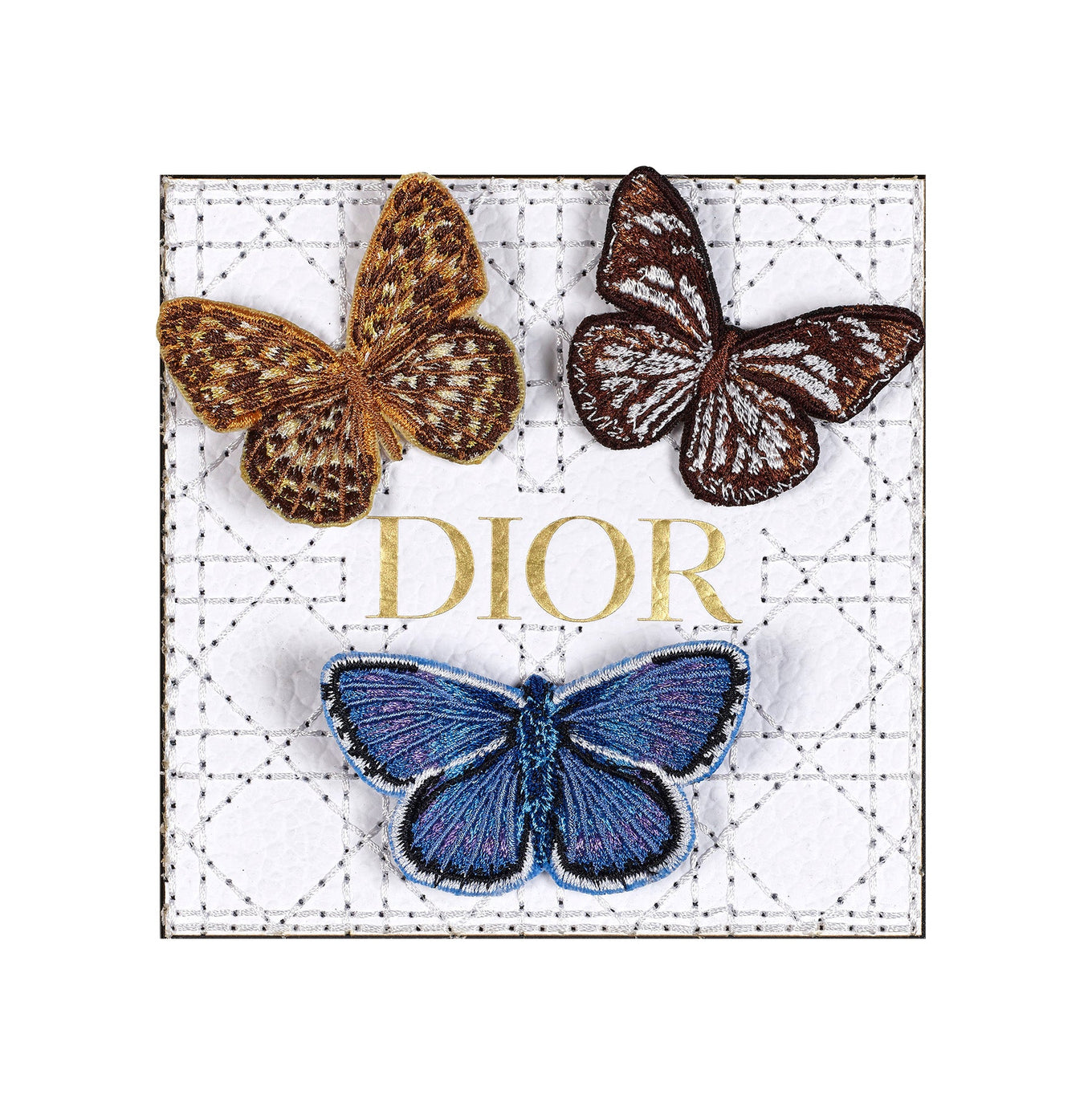 Petite Butterfly Swarm 5”x5” - Stephen Wilson Studio