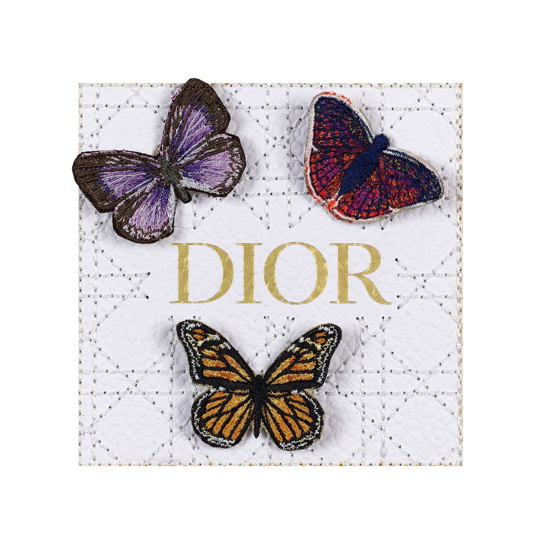 Petite Butterfly Swarm 5”x5” - Stephen Wilson Studio