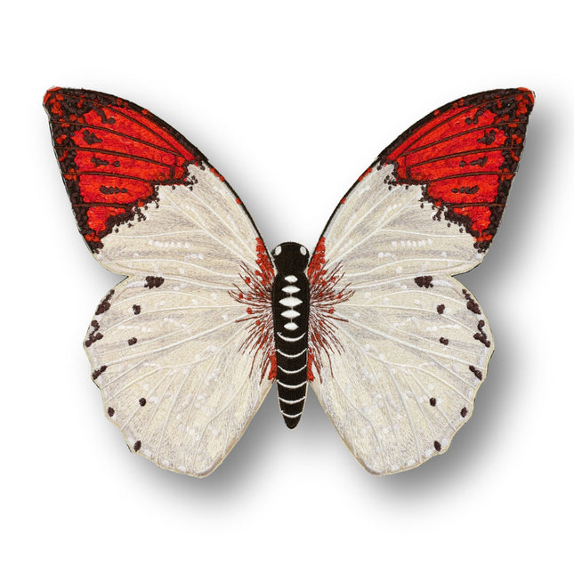 Pieridae Butterfly 6" through 12" - Stephen Wilson Studio