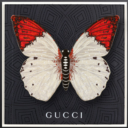 Pieridae Butterfly Framed - Stephen Wilson Studio