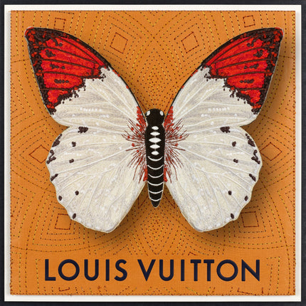 Pieridae Butterfly Framed - Stephen Wilson Studio