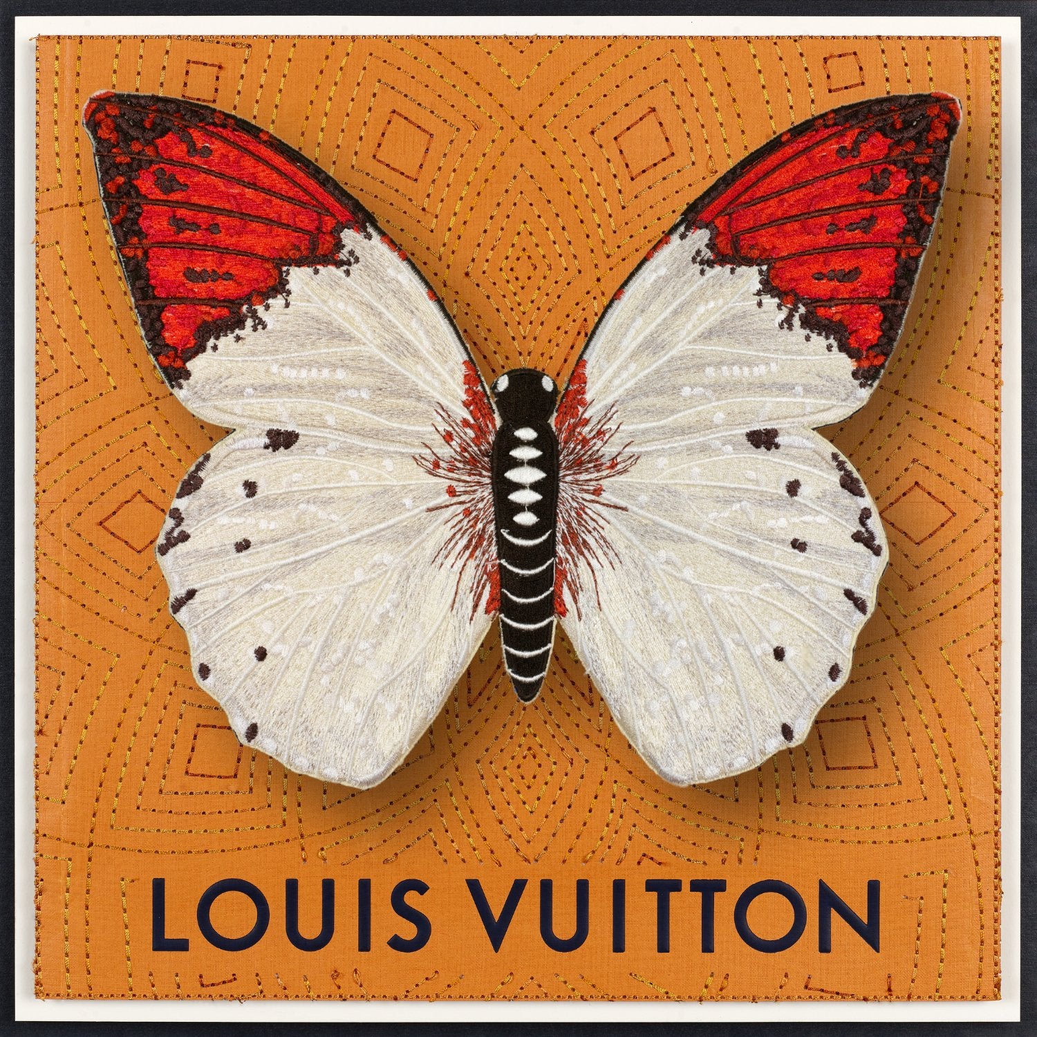 Pieridae Butterfly Framed - Stephen Wilson Studio