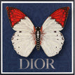 Dior Navy