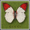 Gucci Green