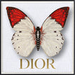 Dior White