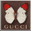 Gucci Brown